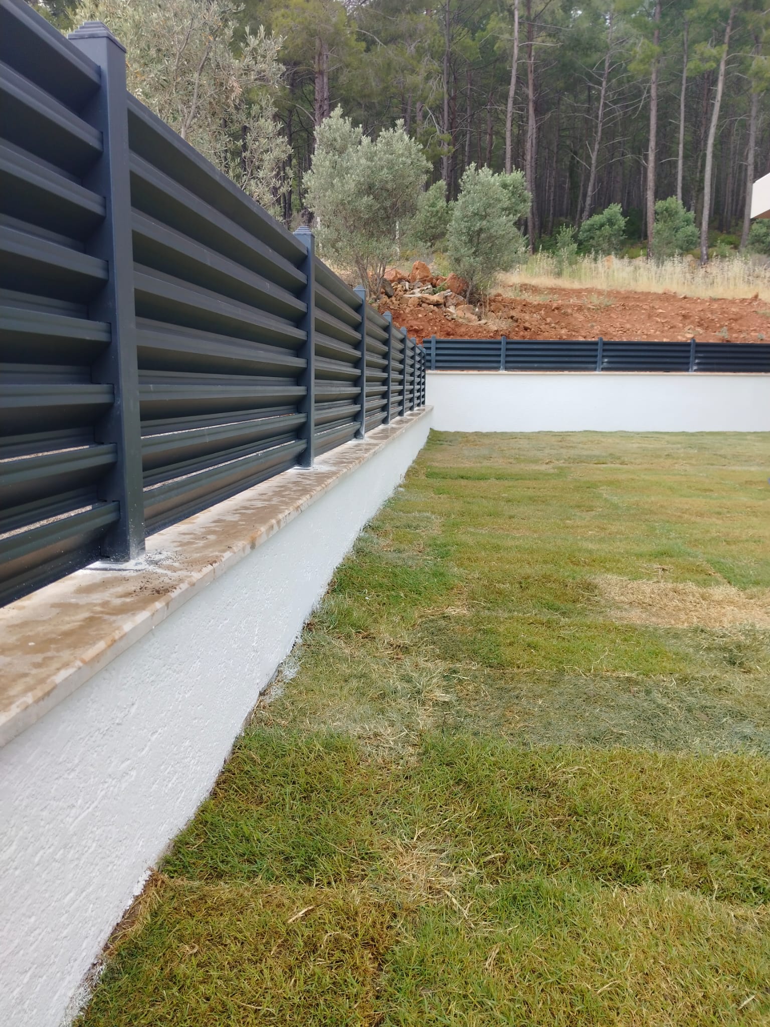 WhatsApp Image 2025-05-30 at 16.54.34